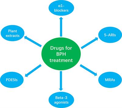 Efficacy and Side Effects of Drugs Commonly Used for the Treatment of Lower Urinary Tract Symptoms Associated With Benign Prostatic Hyperplasia